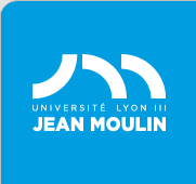 Portail Personnels Universite LYON 3